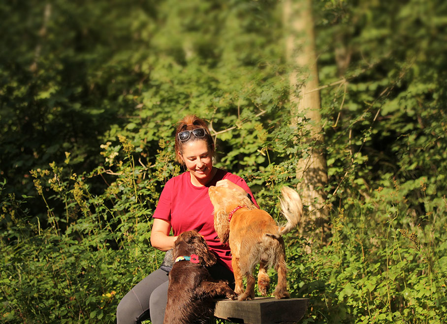 Jo in the woods with two spaniels