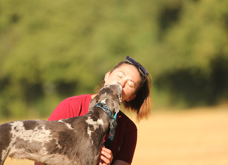 A dog licking Jo’s face